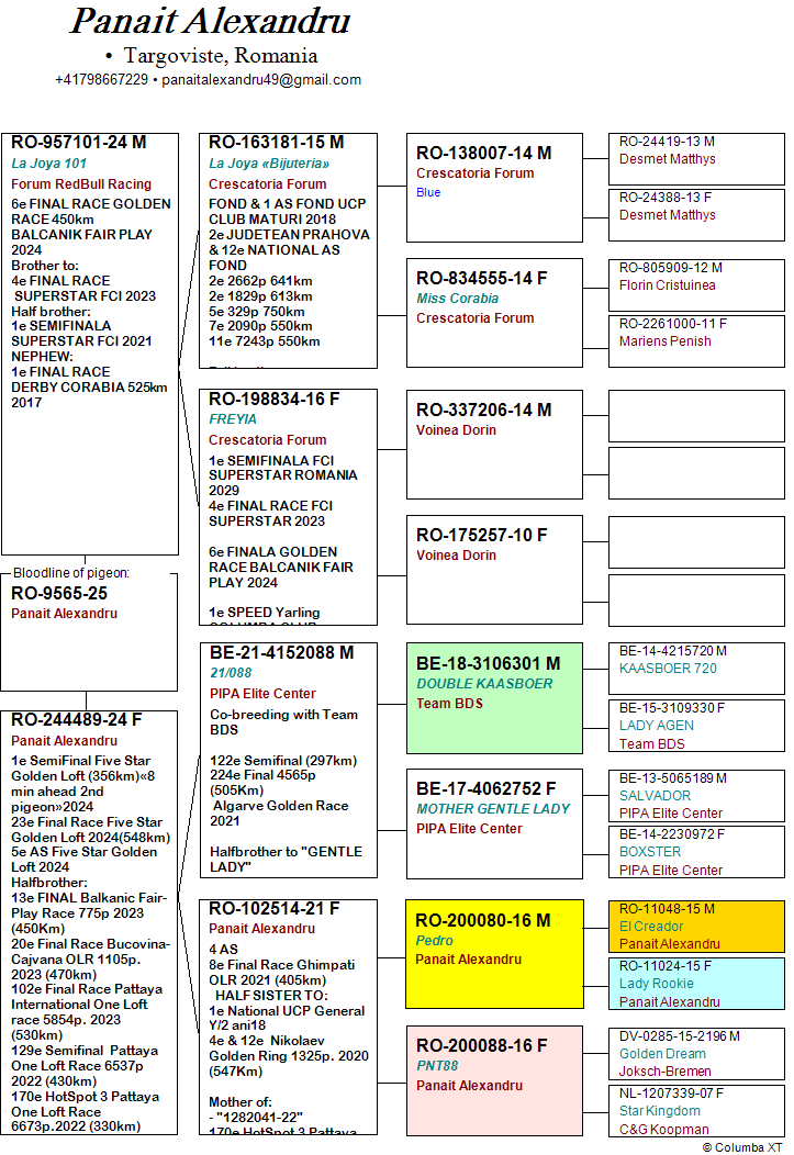 187	Final Race (506 km) 	 PANAIT ALEXANDRU + ALEX BUCALOIU	 RO 9565	