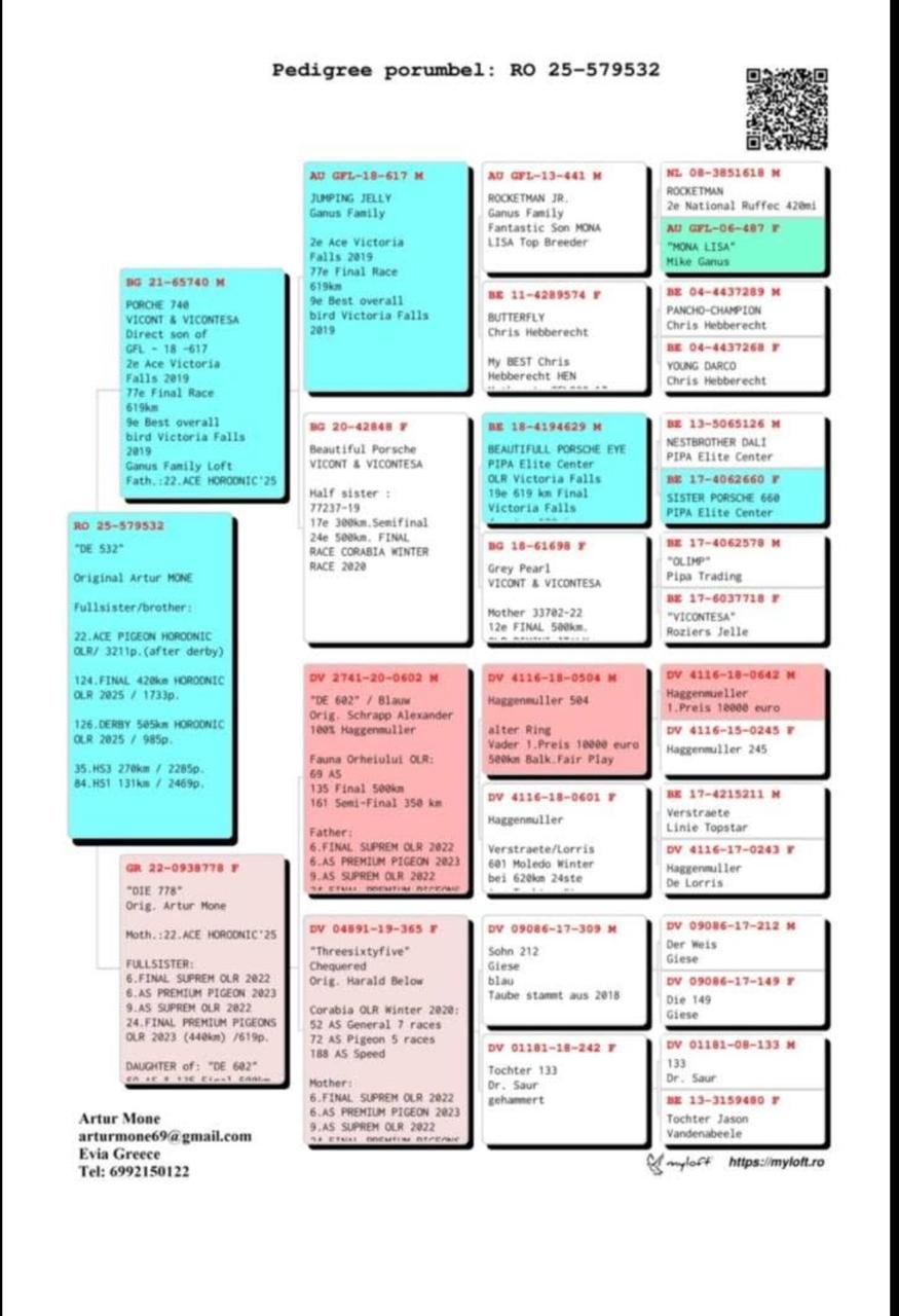 19	Final Race (412 km) 	 Artur Mone	 RO-579532-2025	