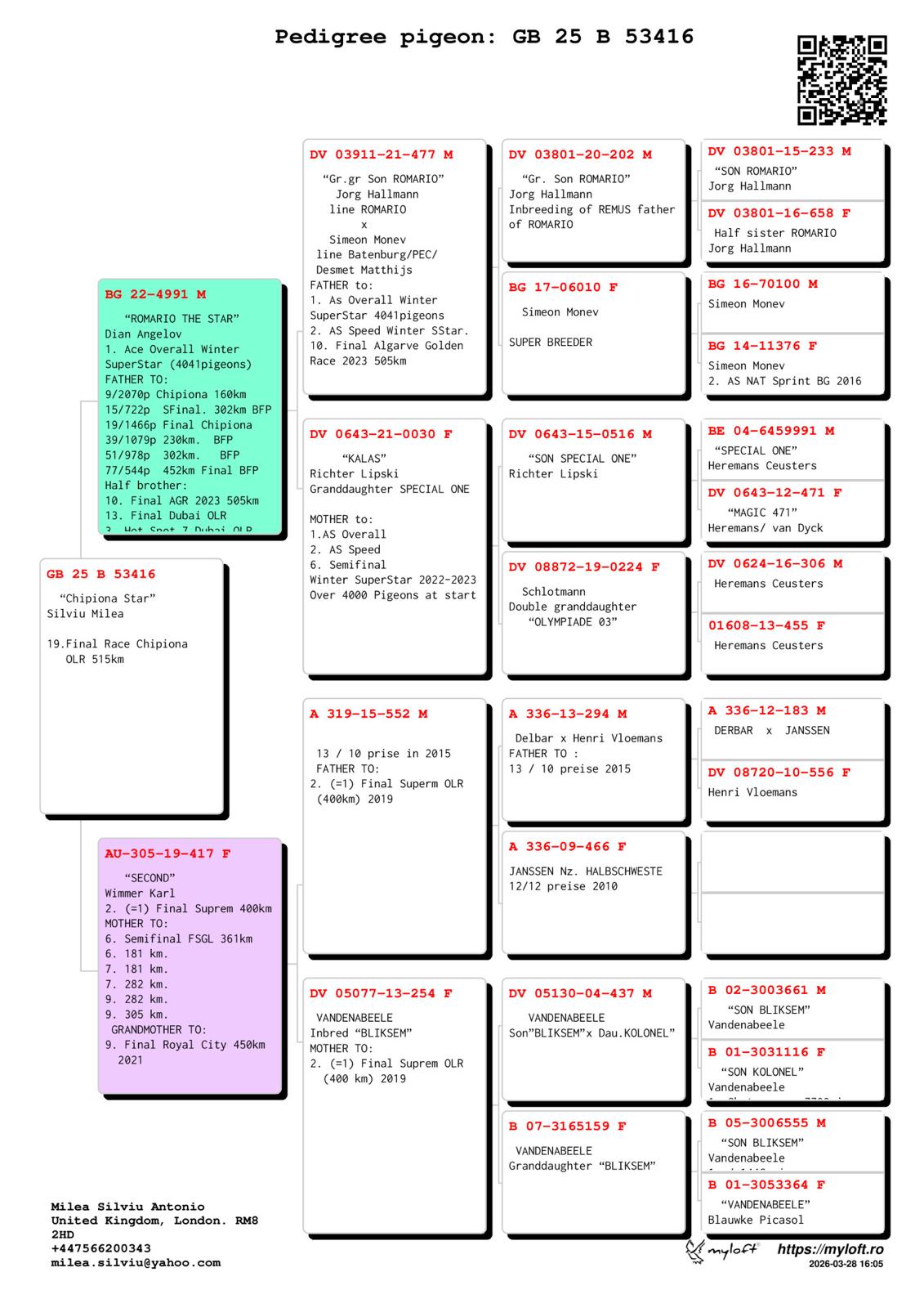 19	FINAL RACE (515 km) 	 SILVIU MILEA	 GB-25-B53416	