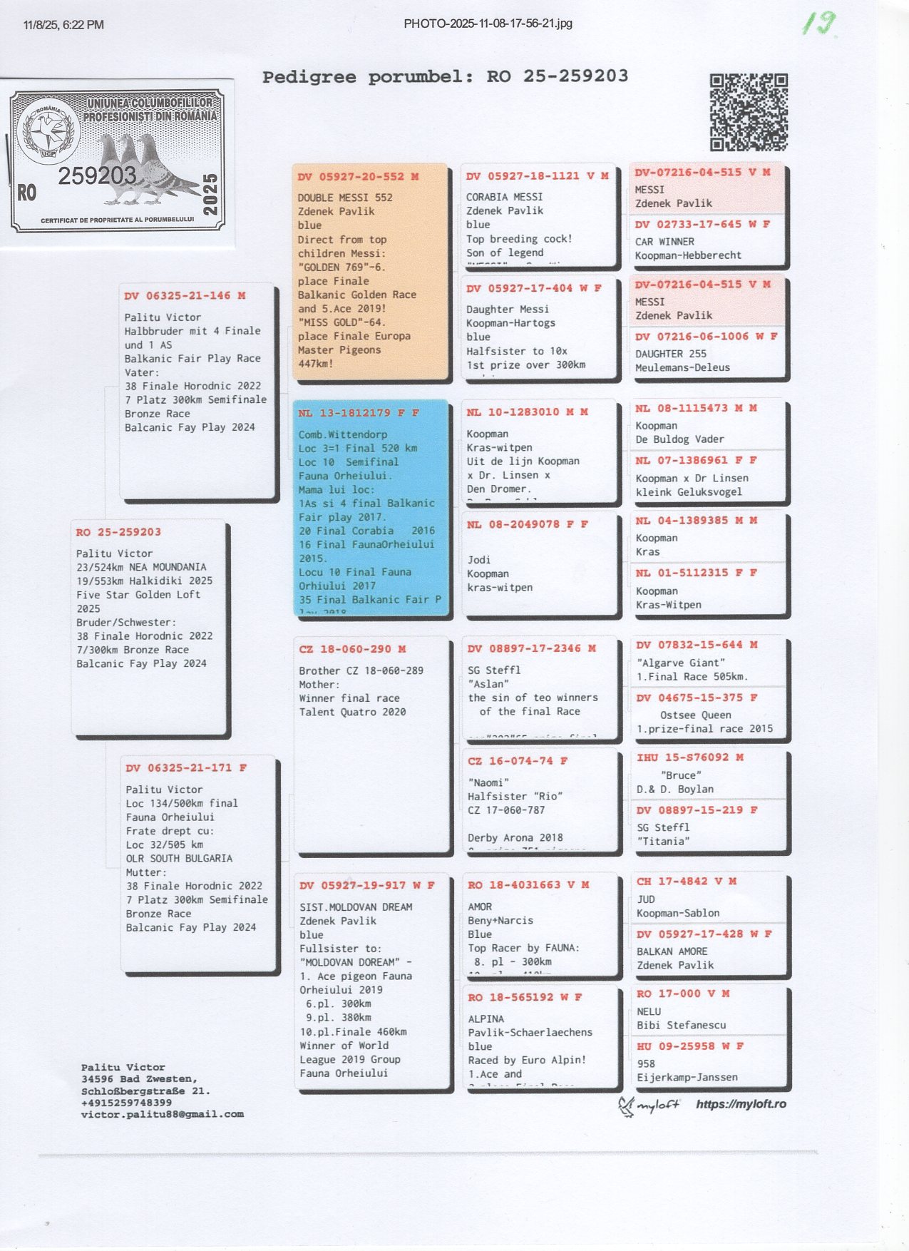 19	place Super Derby Halkidiki (554 km)	PALITU VICTOR	259203	25					