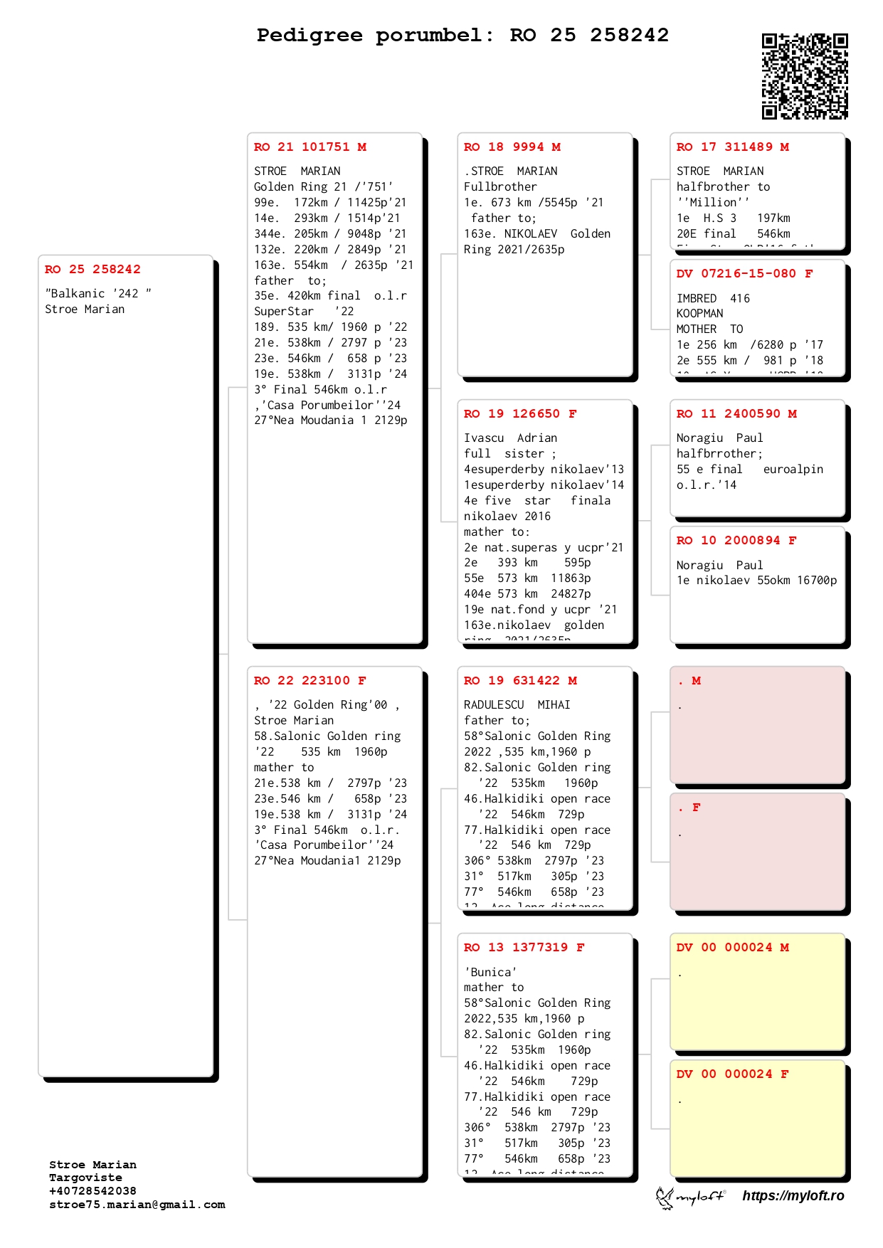 195	Final Race (506 km) 	 STROE MARIAN	 RO 258242	