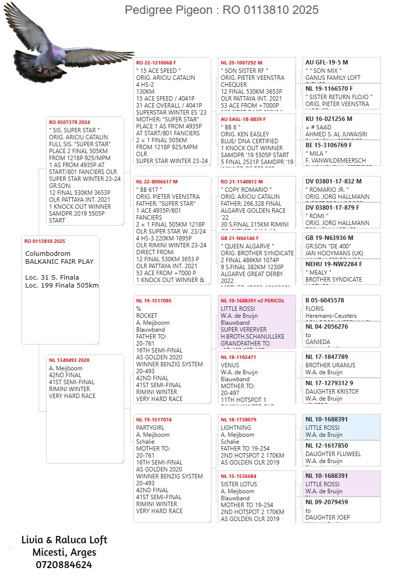 199	Final Race (506 km) 	 LIVIA & RALUCA LOFT	 RO 113810	