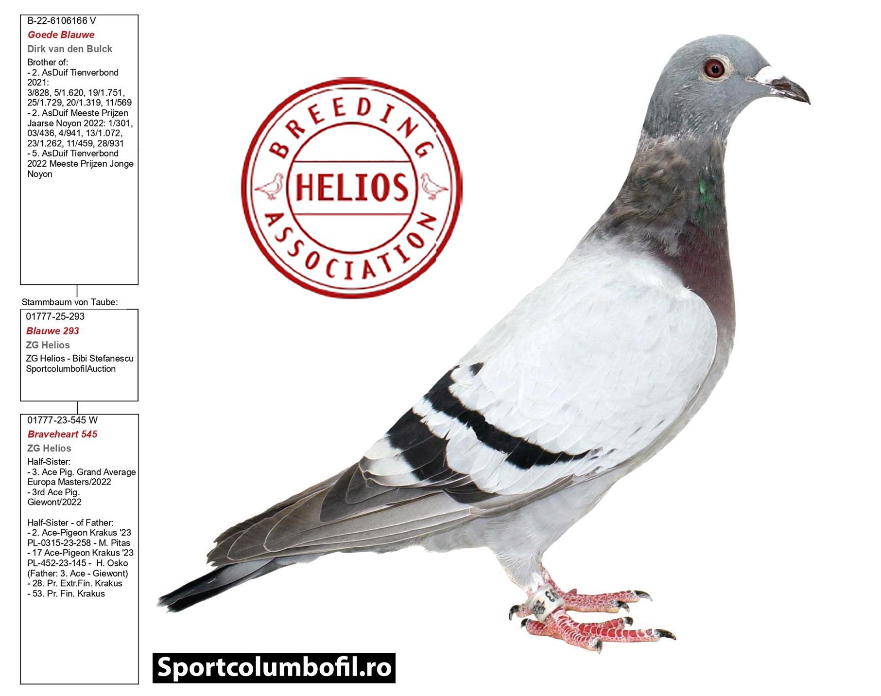 2	place Final (502 km) + 6 Ace-pigeon	Team Awangard	RO-26-1146356