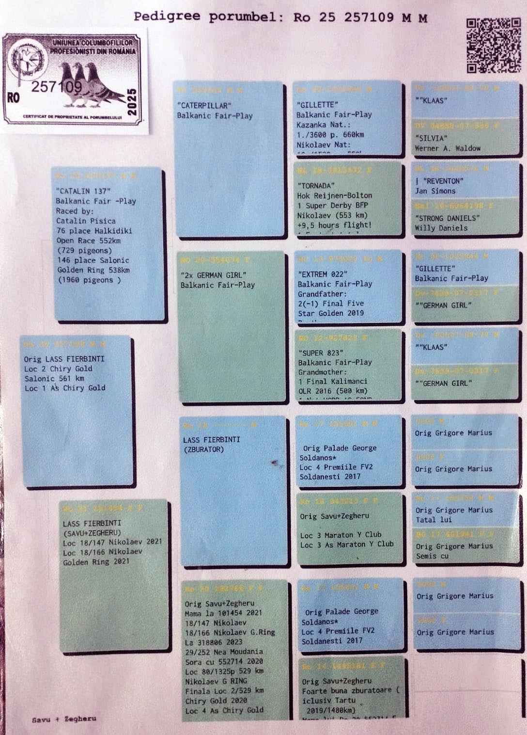 2 place Final (562 km) + 1 Ace LASS FIERBIENTI - RO 257109/25