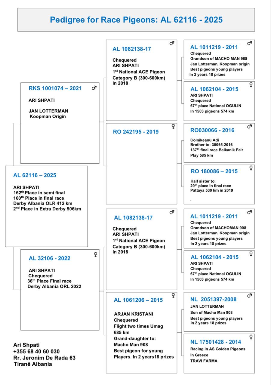2	place Super Derby (506 km) 	 Ari Shpati Team A	 AL-62116-2025	