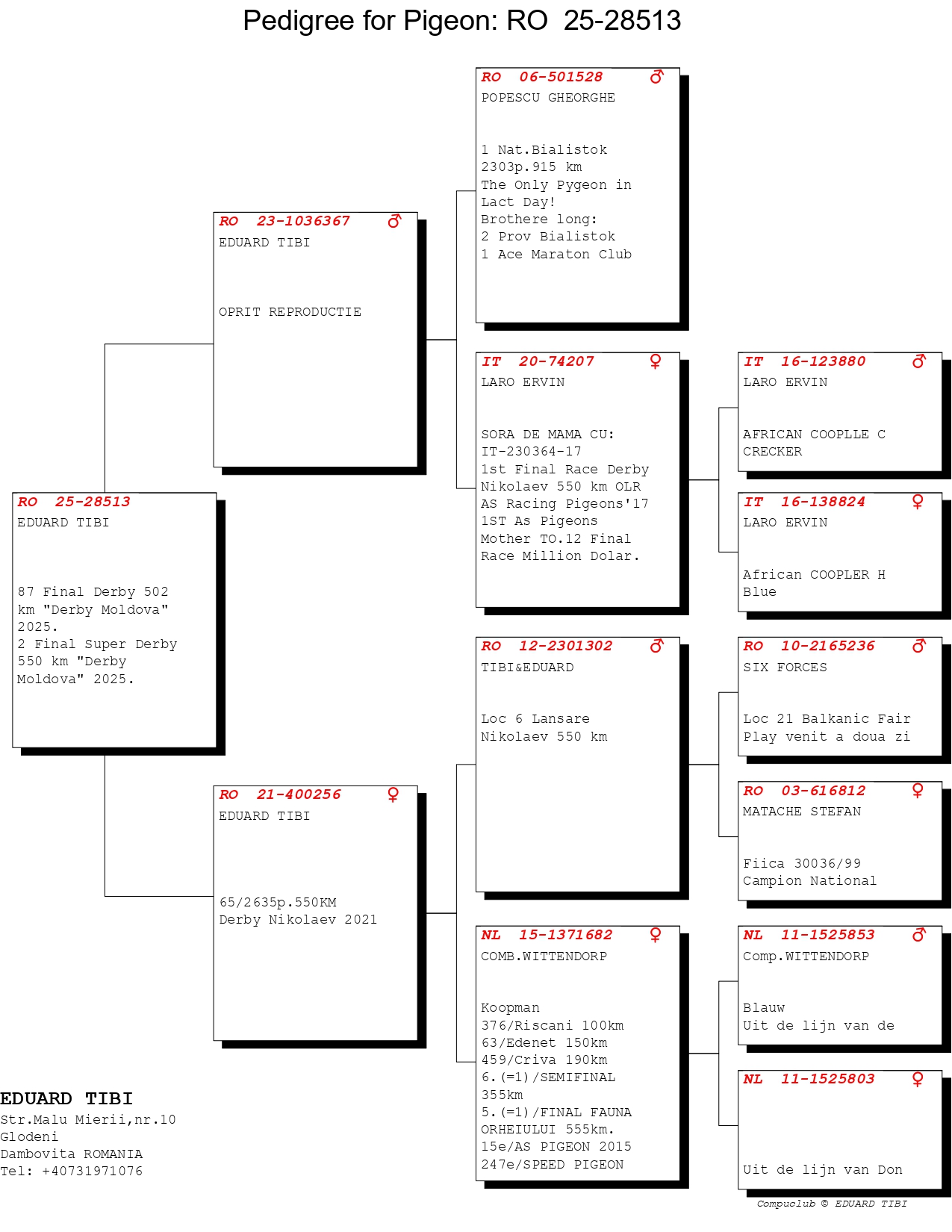 2	place Super Derby (550 km) 	 Eduard & Tibi	 RO-25-028513	