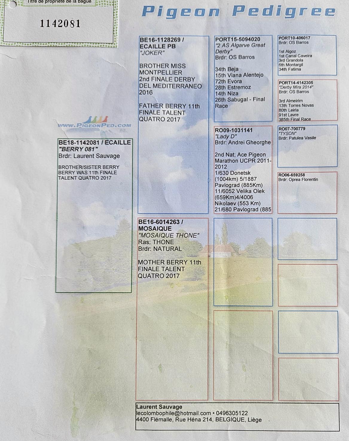 20	Final (420 km) 	 STOICI IOAN & MERMEZAN LUCIAN	 RO-25-1066733