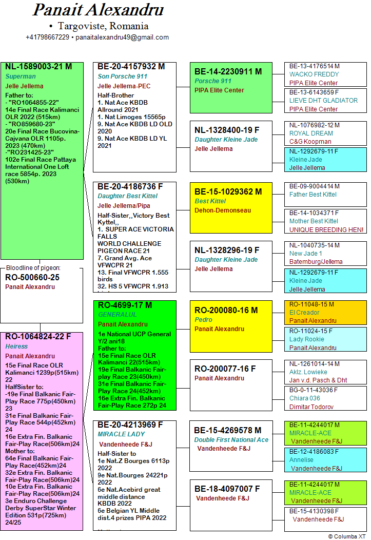20	place Extra Super Derby (605 km) 	 Panait Alexandru	 RO-25-500660	
