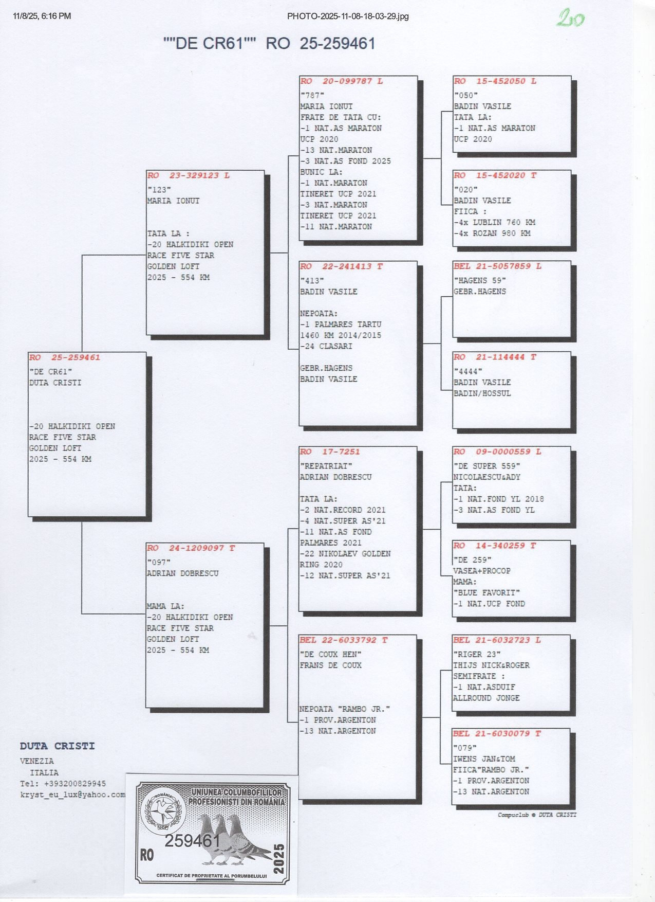 20	place Super Derby Halkidiki (554 km)	DUTA CRISTI	259461	25					