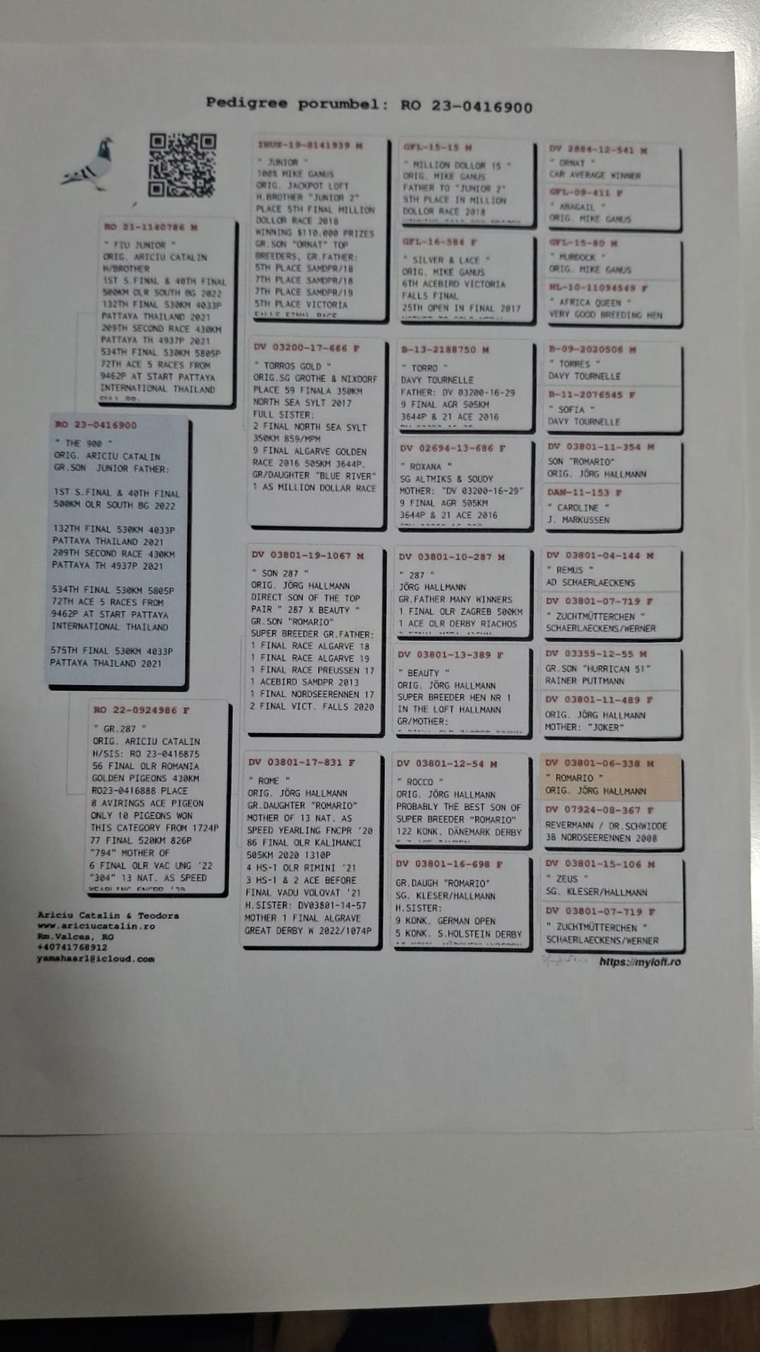 201	Final Race (506 km)  	 COSMIN NITU	 ESP 34048	