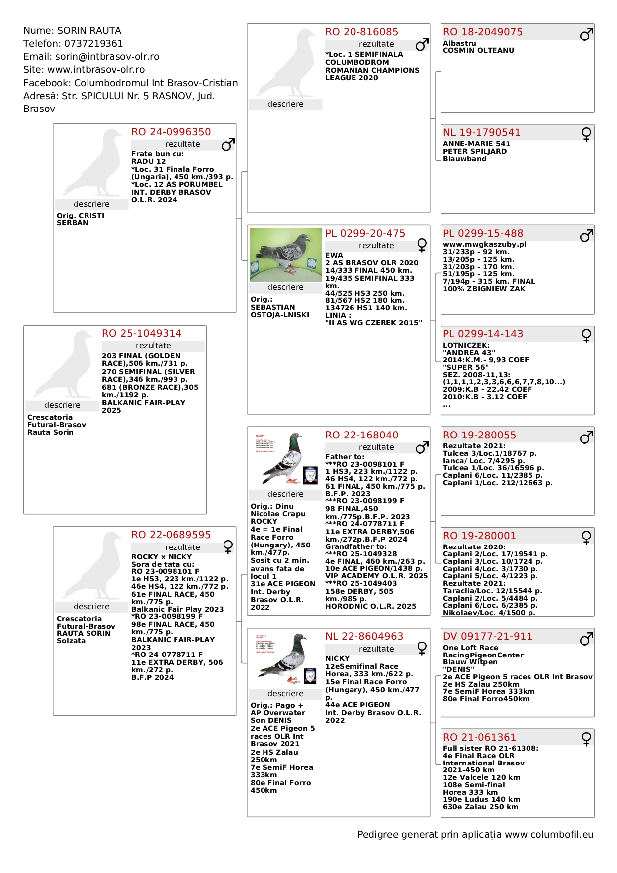 203	 	 Final Race (506 km) DERBY INT BRASOV OLR	 RO 1049314	