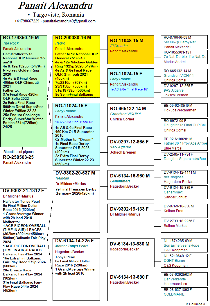207	 	Final Race (506 km)  PANAIT ALEXANDRU + ALEX BUCALOIU	 RO 258503	