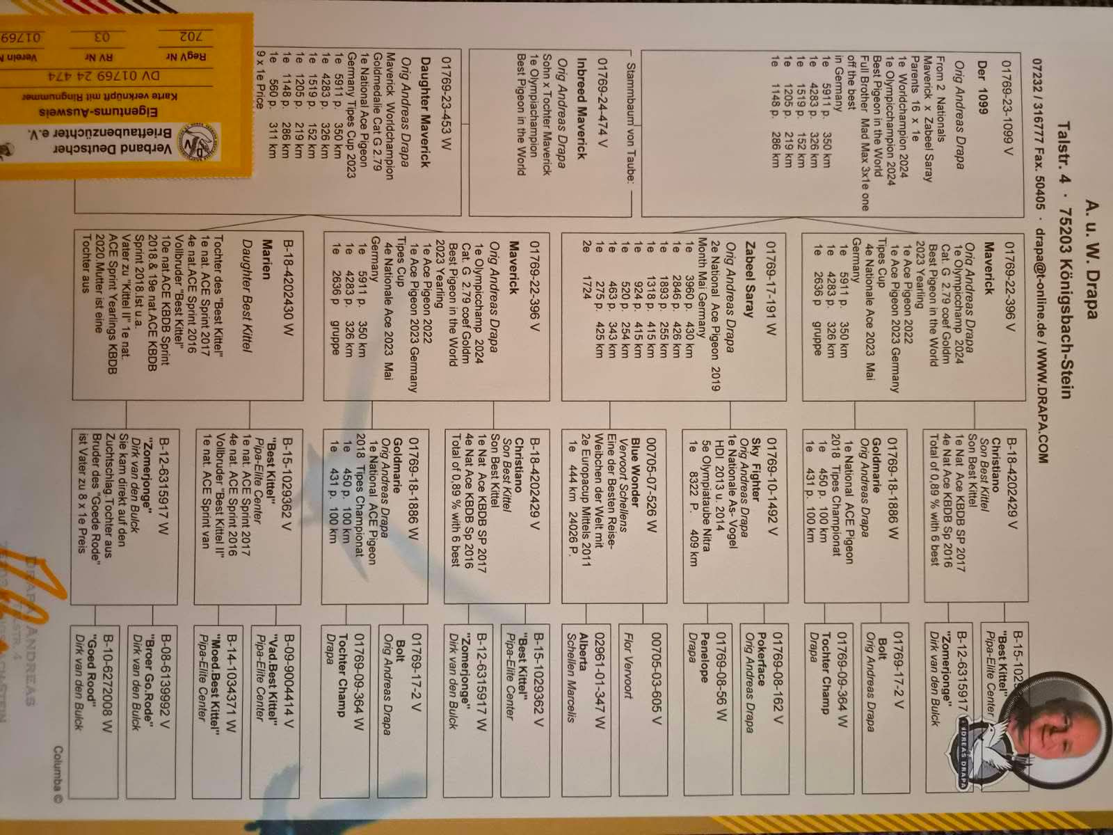 208	place EXTRA FINAL (656 km) SVIATOSLAV WINGS KATRIN	  DV-0212-25-556	