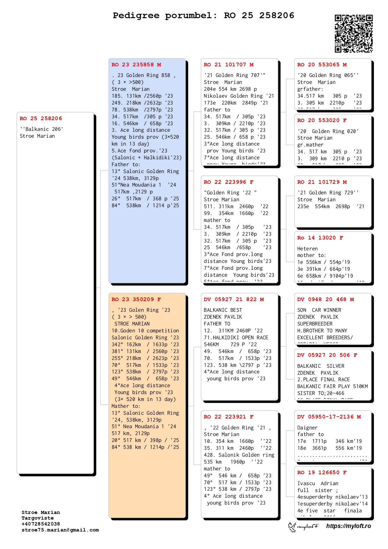 209	Final Race (506 km) 	 STROE MARIAN	 RO 258206	