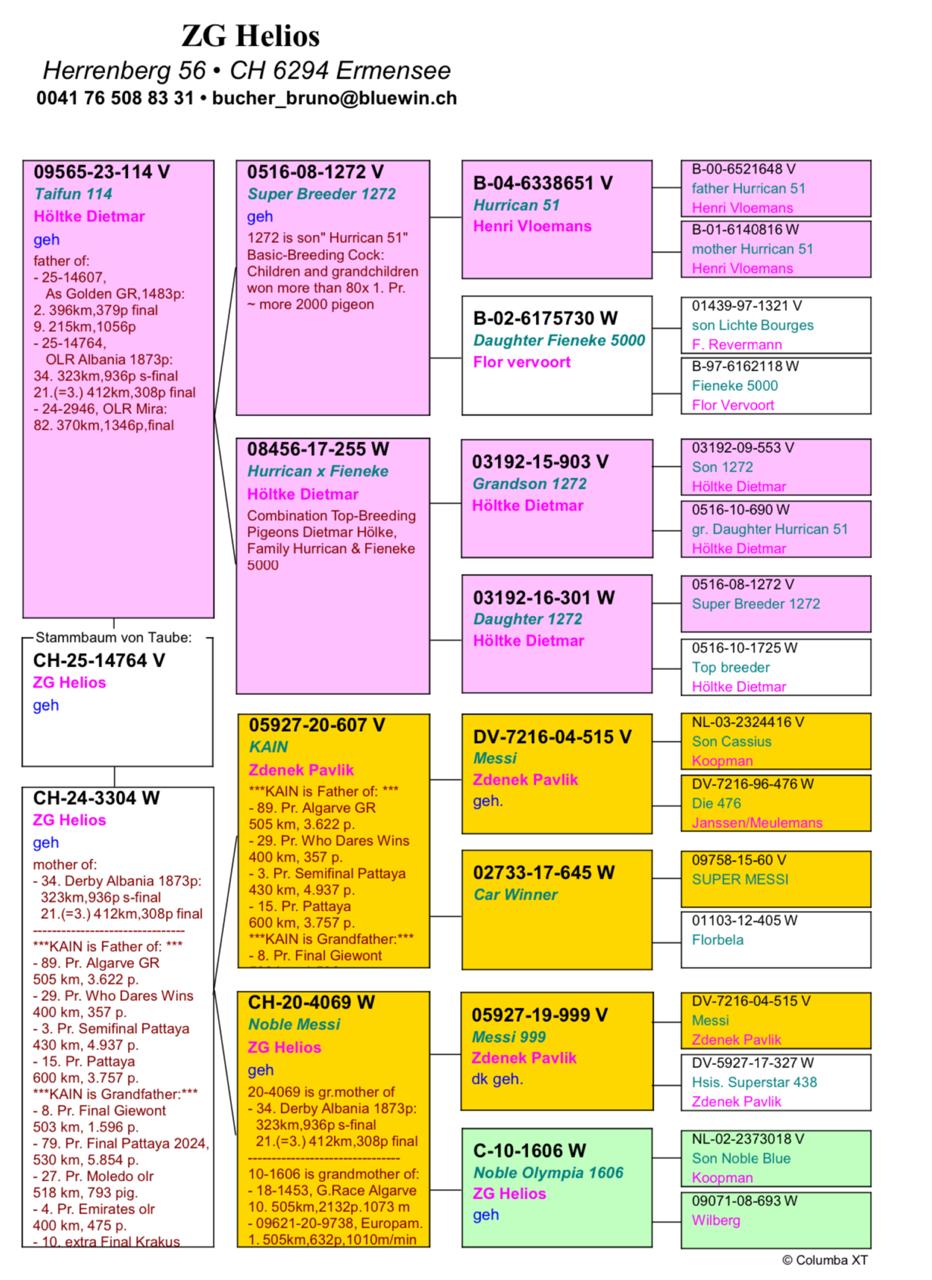 21	Final Race (412 km) 	 ZG Helios	 CH-14764-2025	
