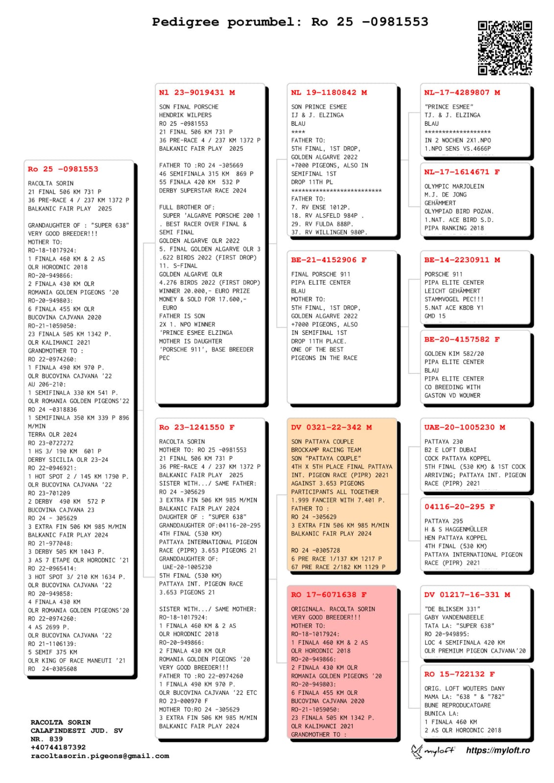 21	Final Race (506 km) 	 RACOLTA SORIN	 RO 981553	 	