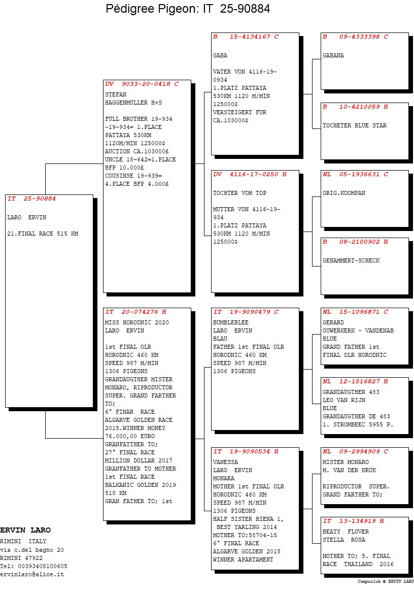 21	FINAL RACE (515 km) 	 FAST PIGEONS - ERVIN LARO	 IT-25-90884	