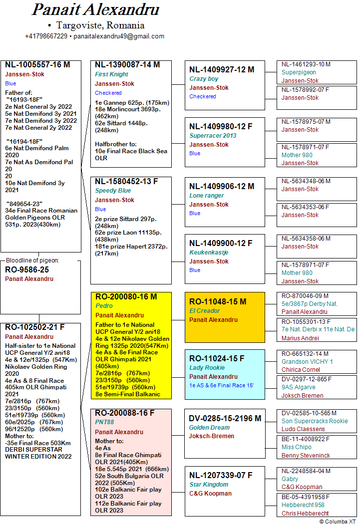 21	place Extra Super Derby (605 km) 	 Panait Alexandru	 RO-25-009586	