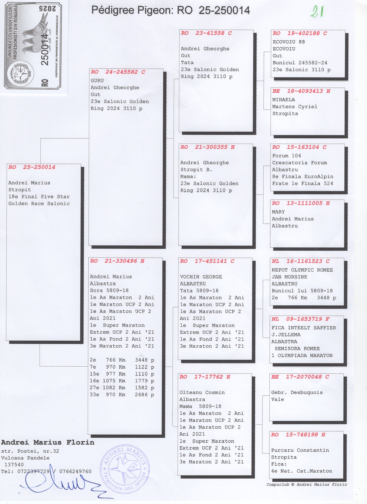 21	place Super Derby Halkidiki (554 km)	ANDREI MARIUS + MITU + ONCESCU	250014	25					