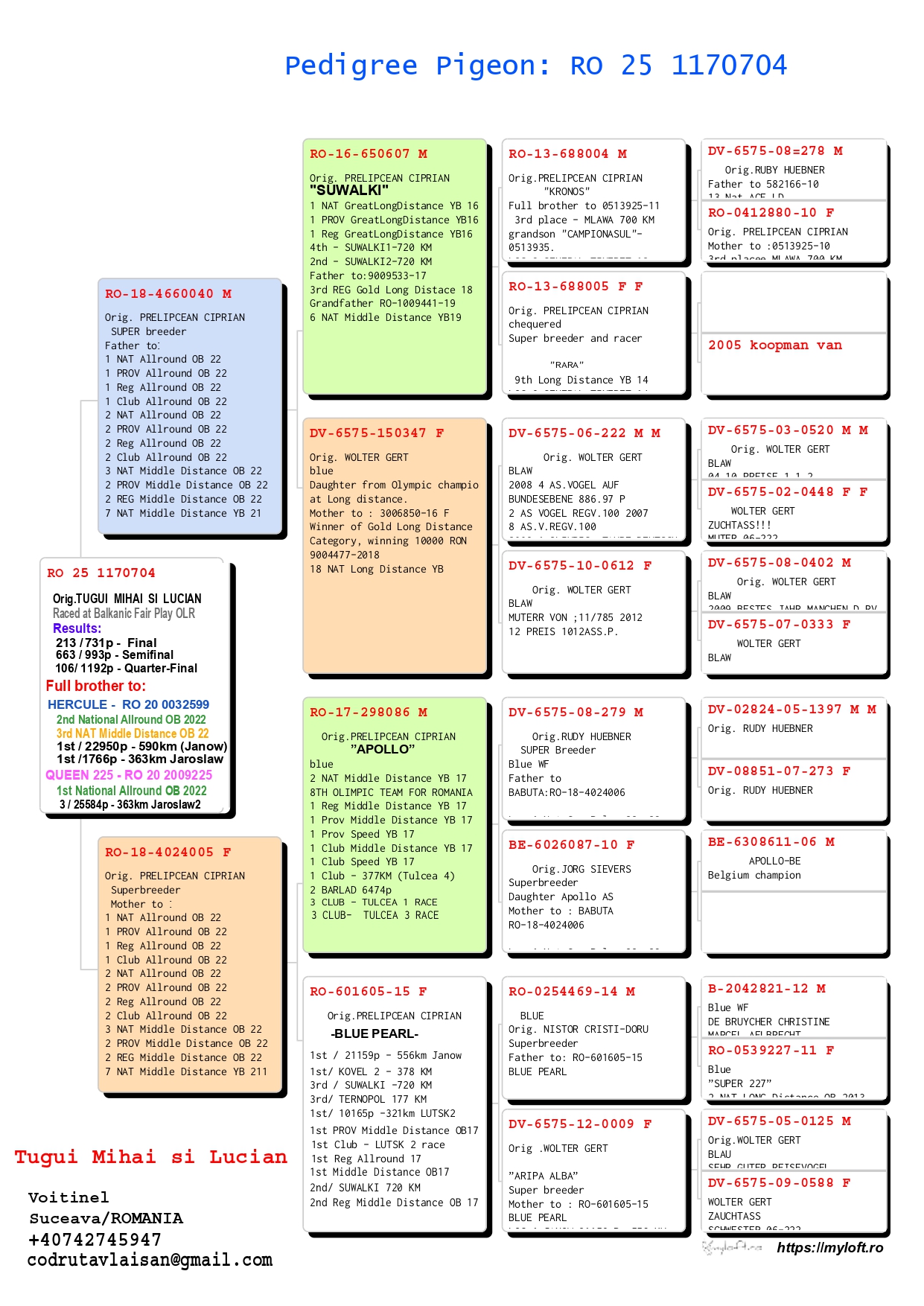 213	Final Race (506 km) 	 TUGUI MIHAI & LUCIAN	 RO 1170704	