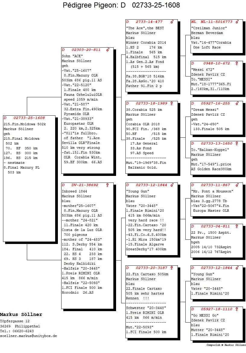 215	Final Race (502 km) 	 Familie Soellner	 DV-25-02733-1608	