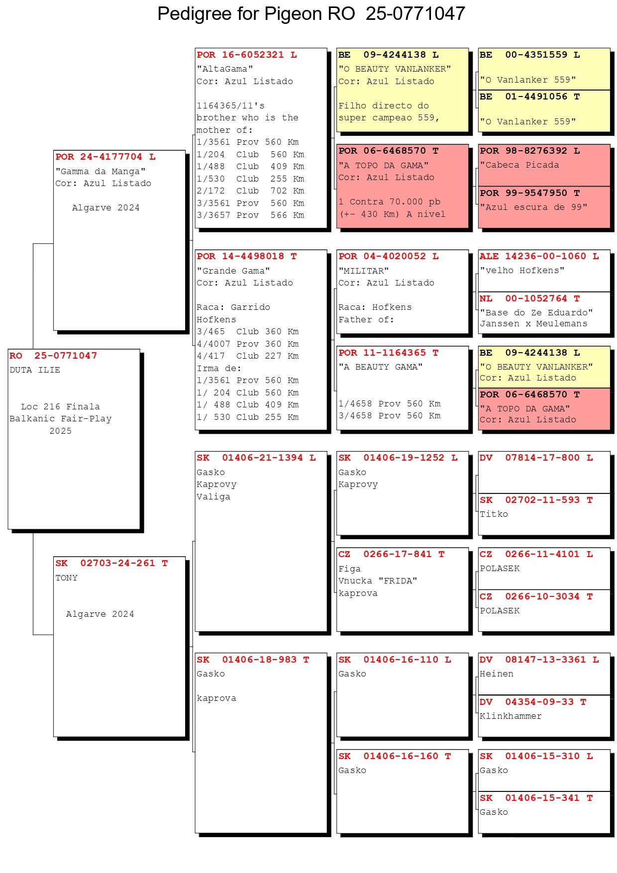 216	Final Race (506 km) 	 DUTA ILIE	 RO 771047	