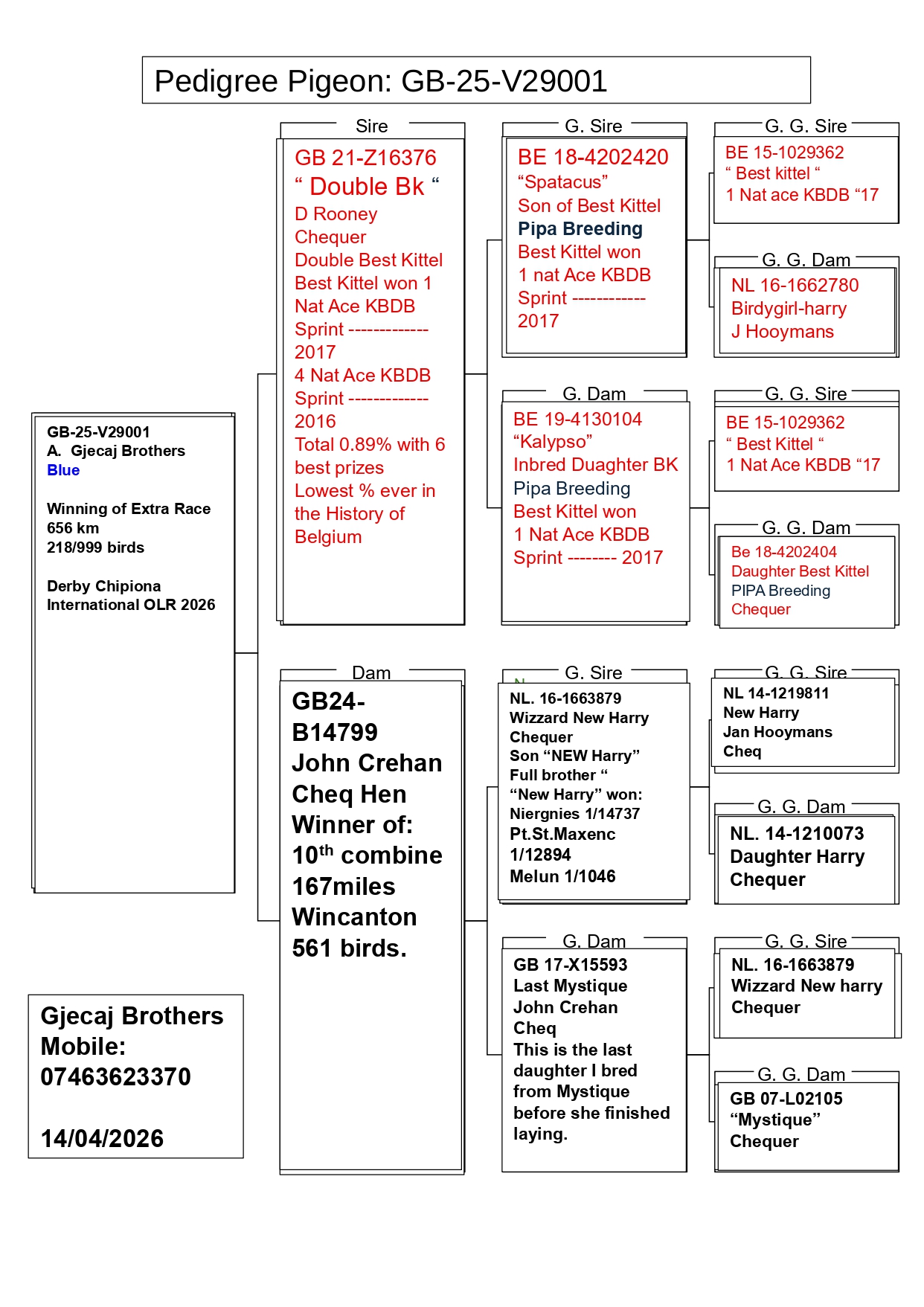 218	place EXTRA FINAL (656 km) A. GJECAJ BROTHERS	  GB-25-V29001	