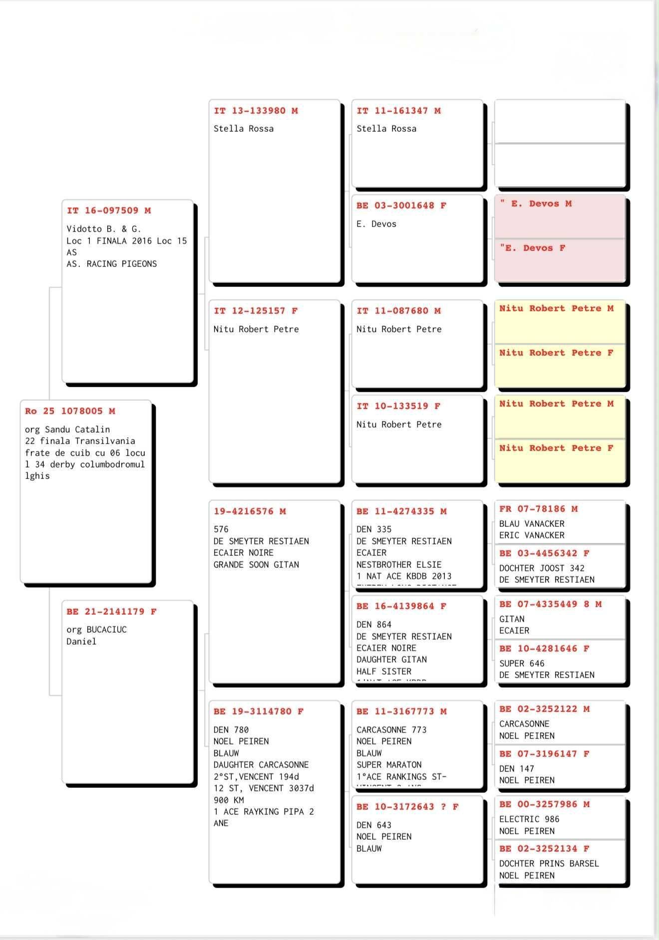 22	Final (420 km) 	 SANDU CATALIN TM	 RO-25-1078005