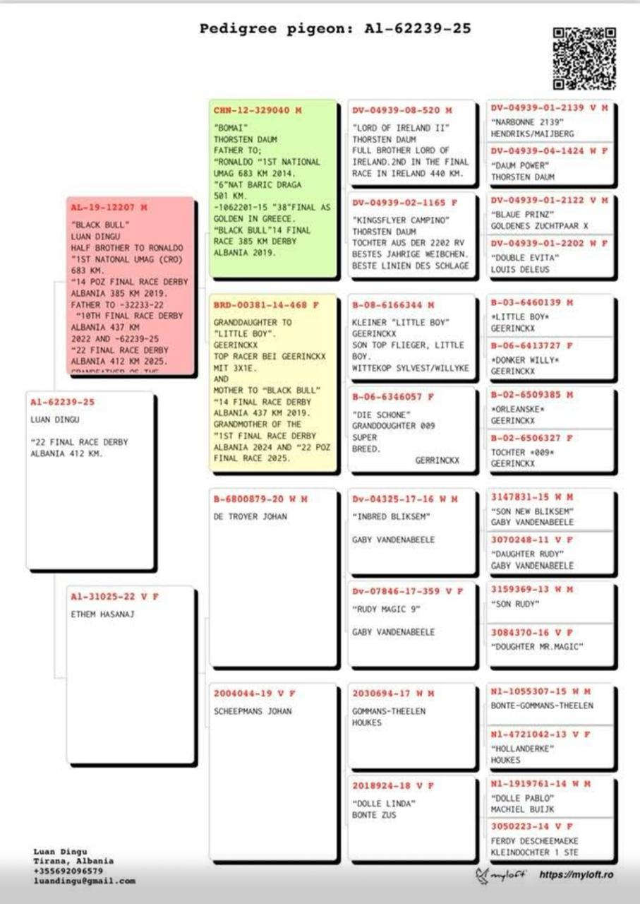 22	Final Race (412 km) 	 Luan Dingu Team B	 AL-62239-2025	