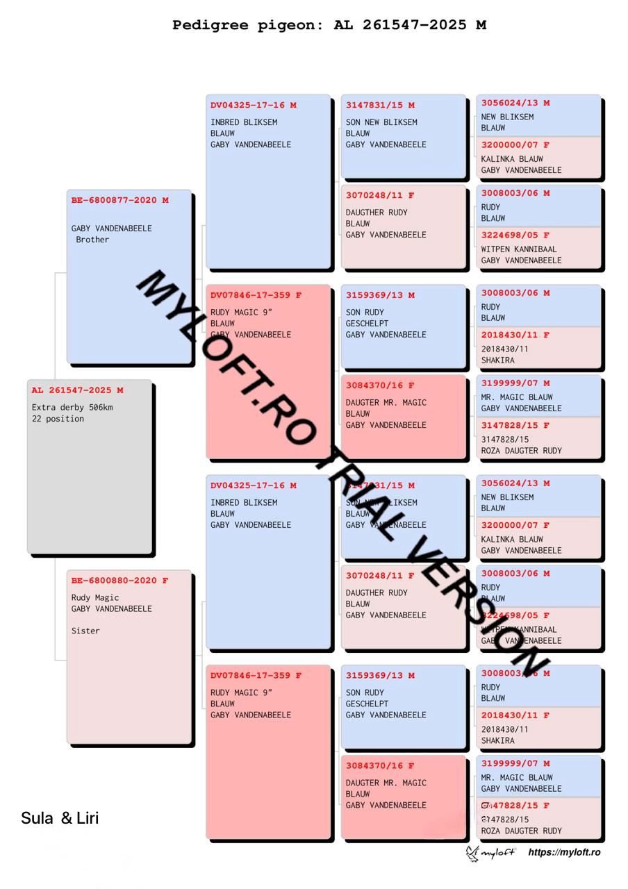 22	place Super Derby (506 km) 	 Liri & Sula	 AL-261547-2025	
