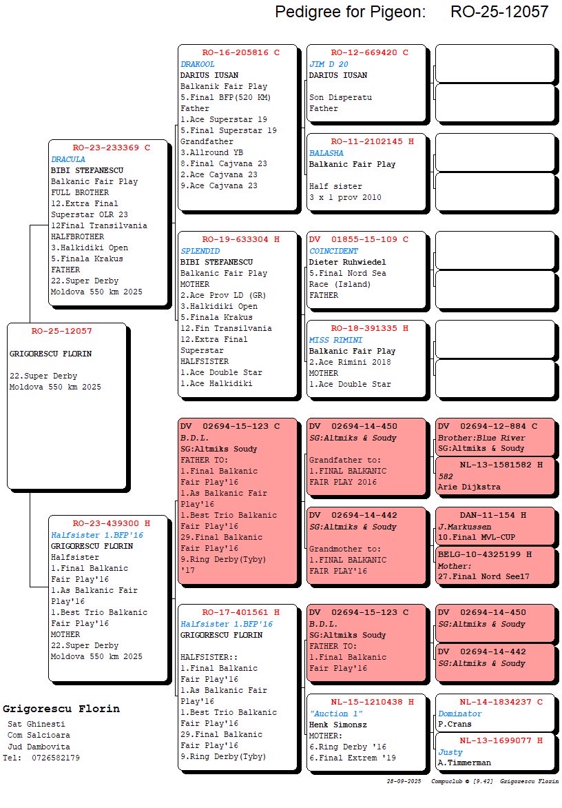 22	place Super Derby (550 km) 	 Grigorescu Florin	 RO-25-012057	