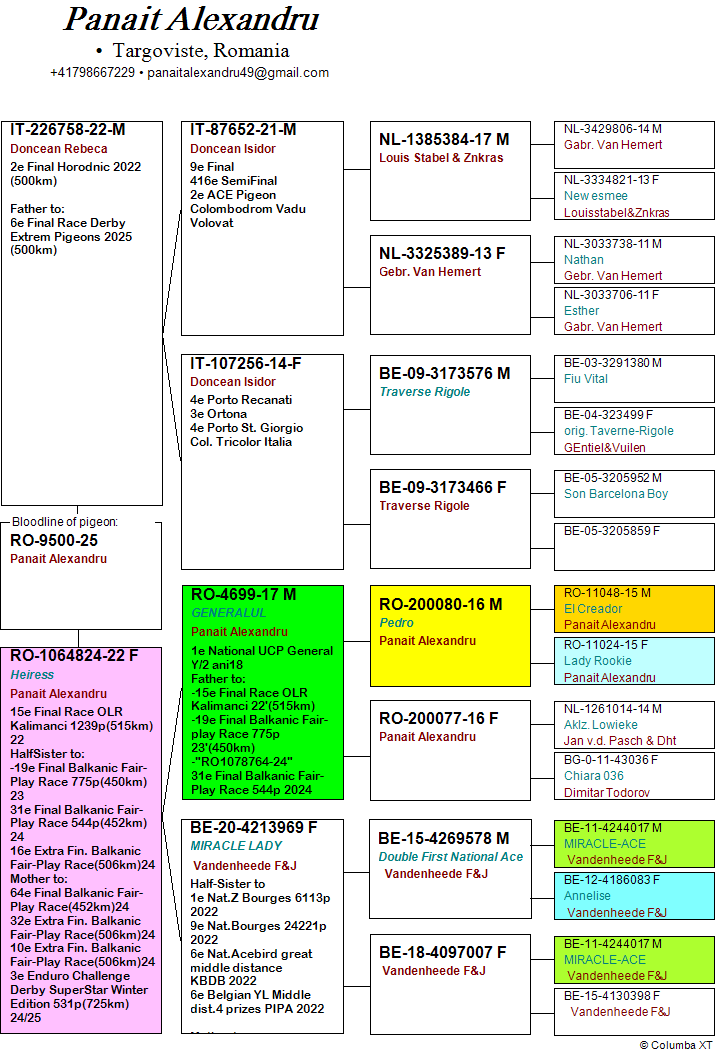 220	Final Race (506 km) 	 PANAIT ALEXANDRU + ALEX BUCALOIU	 RO 9500	