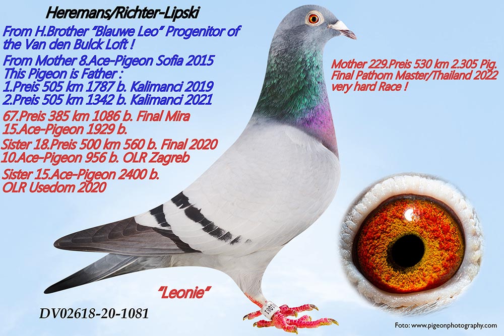 221	place EXTRA FINAL (656 km) KARL-HEINZ WICHERT	  DV-02618-25-412	