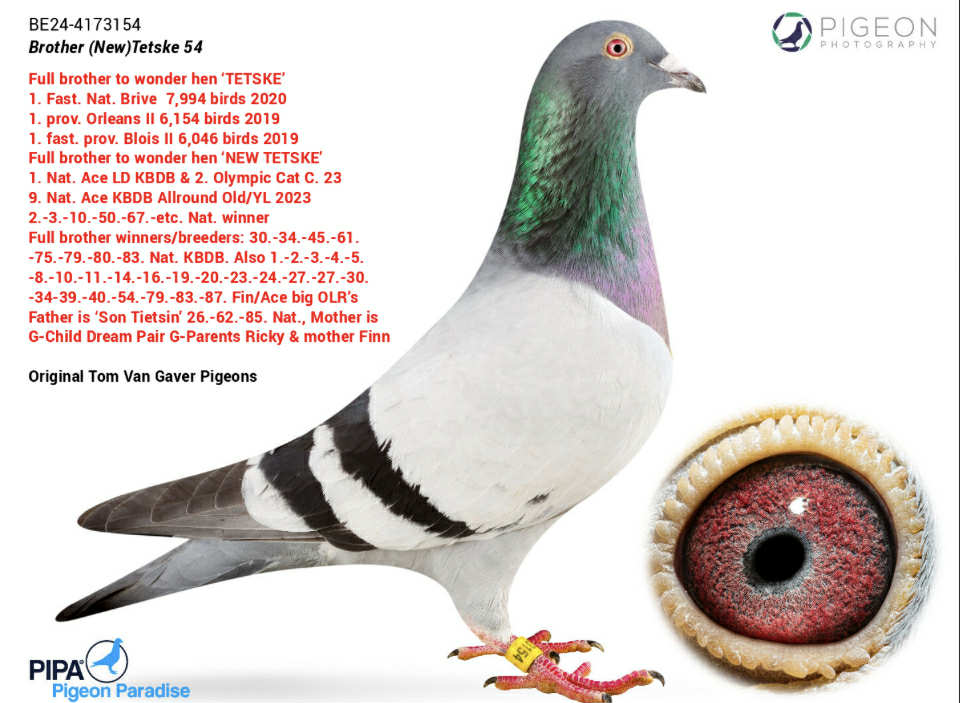 222	Final Race (506 km) 	 PETAR & KIRIL RAPONSKI	 BG 65142	