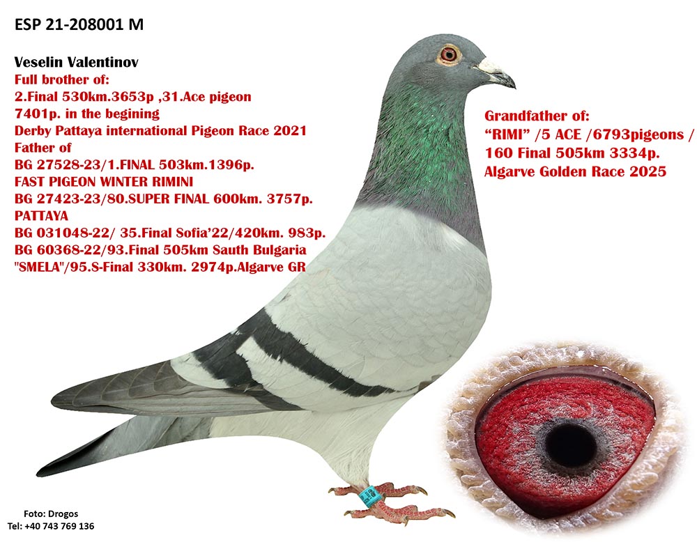 224	Final Race (506 km) 	 PETAR & KIRIL RAPONSKI	 BG 65127	