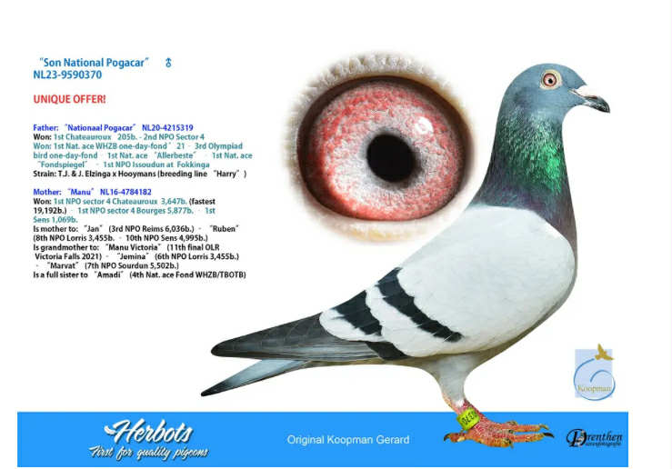 224	Final Race (506 km) 	 PETAR & KIRIL RAPONSKI	 BG 65127	