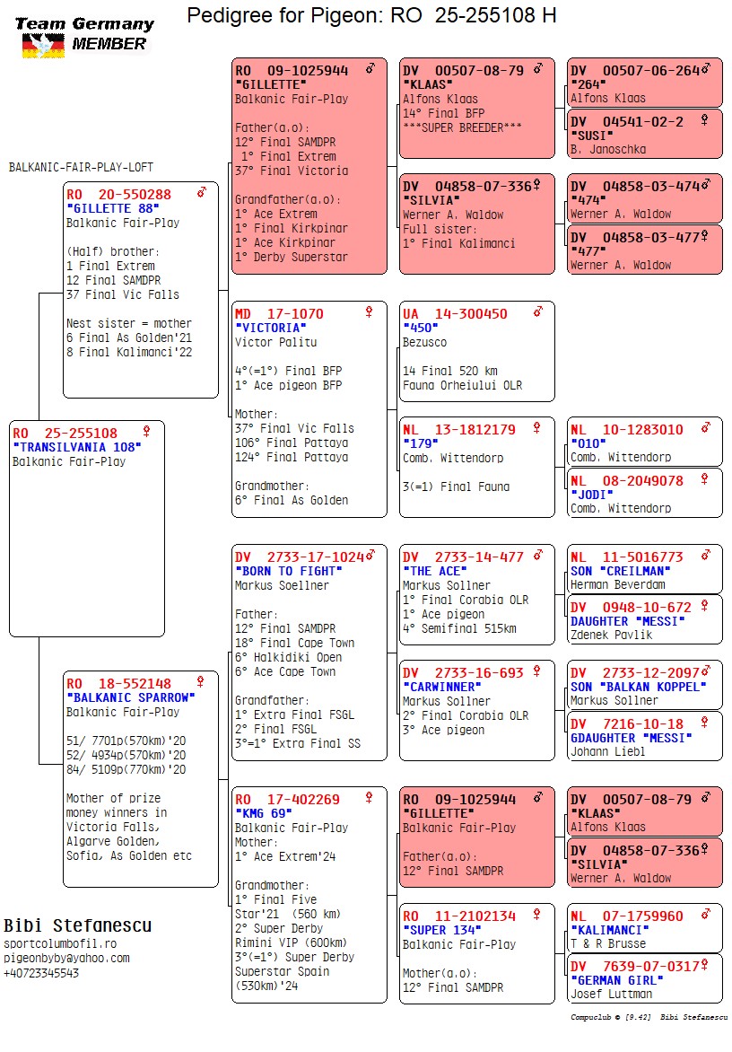 23	Final (420 km) 	 BIBI STEFANESCU	 RO-25-255108