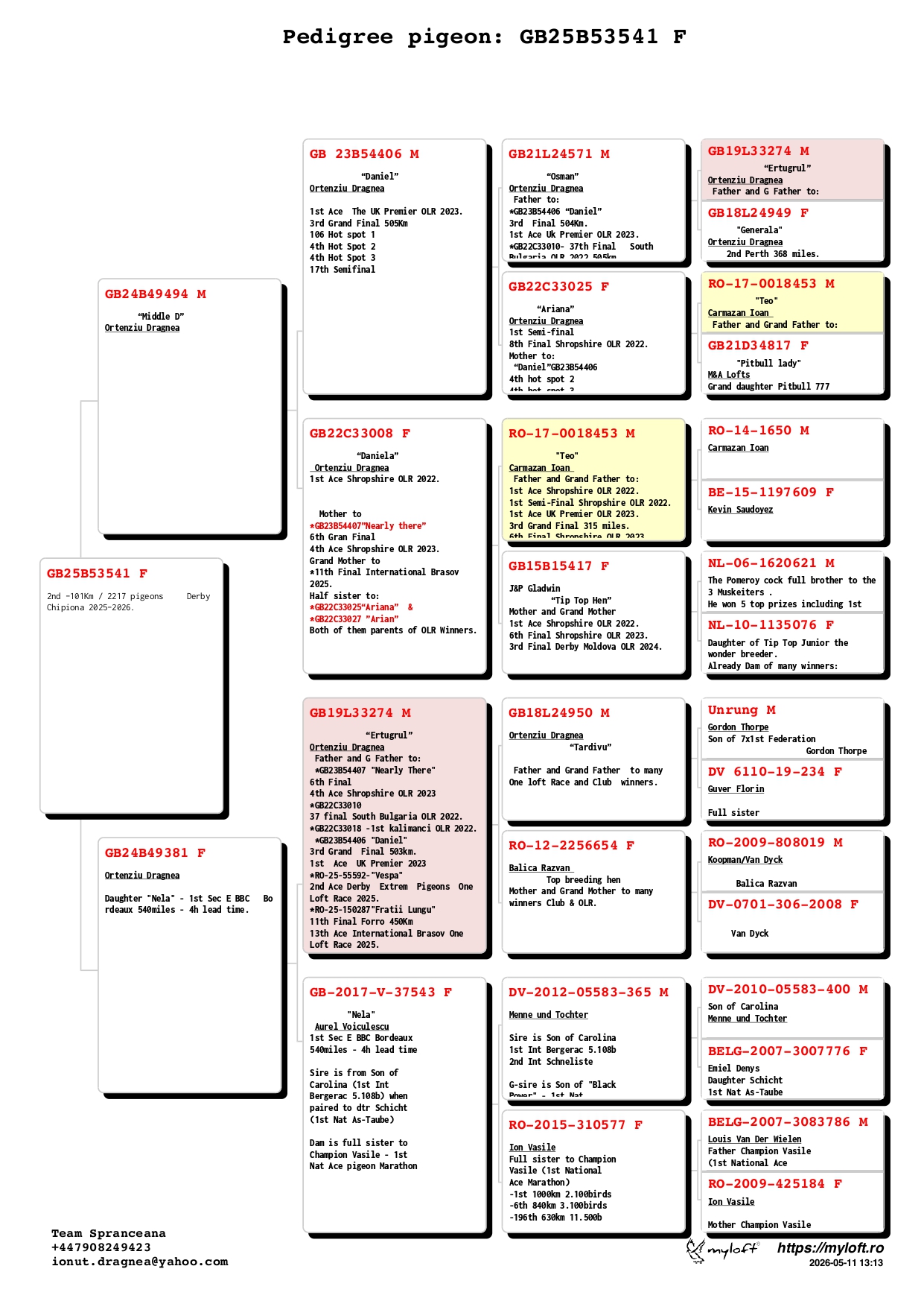 237	place EXTRA FINAL (656 km) TEAM SPRANCEANA	  GB-25-B53541	