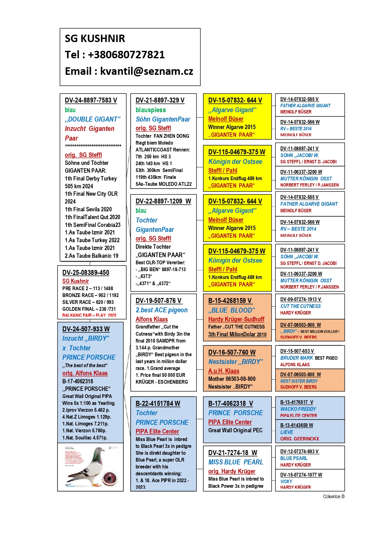238	Final Race (506 km) 	 SG KUSHNIR	 DV 8389 450	