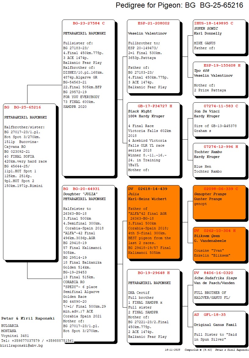 239	Final Race (506 km) 	 PETAR & KIRIL RAPONSKI	 BG 65216	