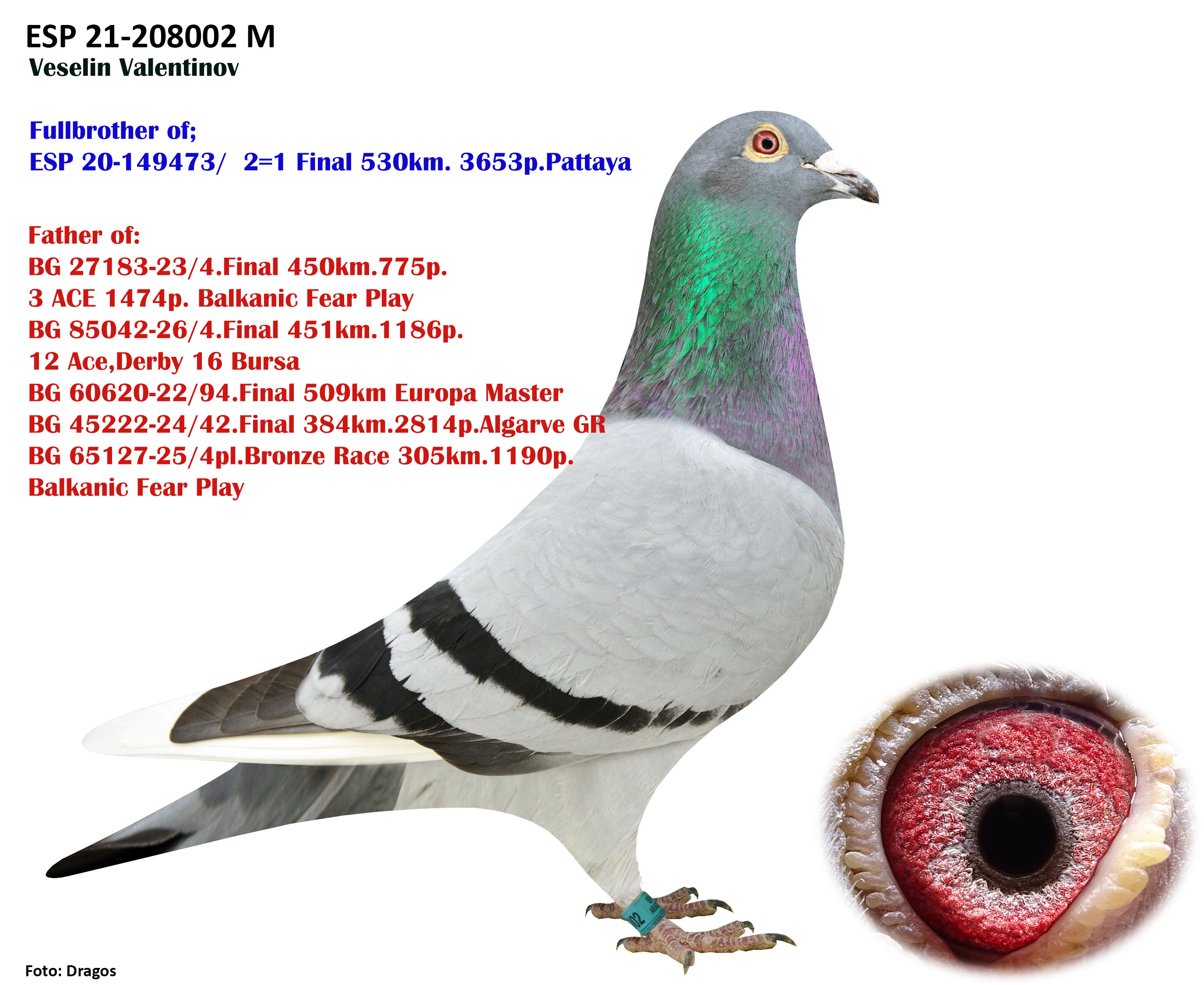 239	Final Race (506 km) 	 PETAR & KIRIL RAPONSKI	 BG 65216	