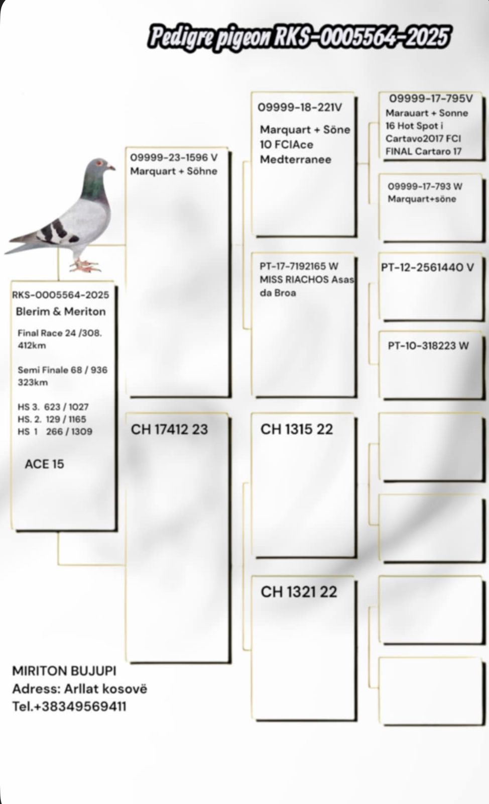 24	Final Race (412 km) 	 Blerim & Meriton Team A	 RKS-0005564-2025	