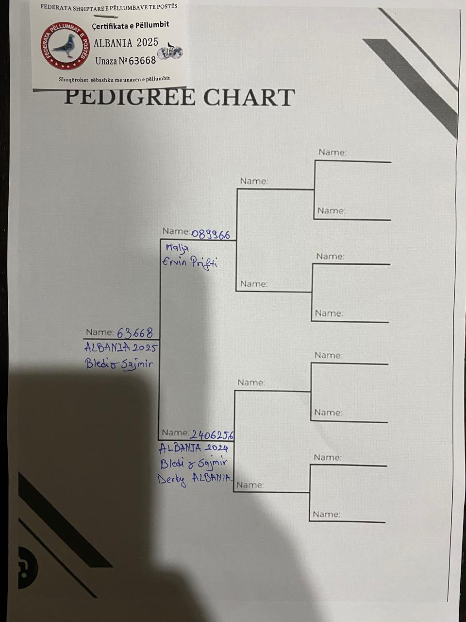 24	place Super Derby (506 km) 	 Bledi & Saimir	 AL-63668-2025	