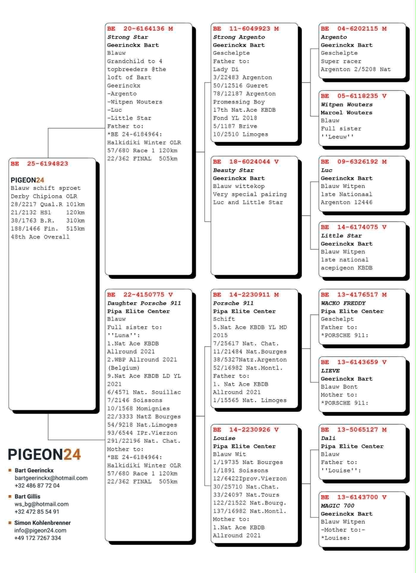 243	place EXTRA FINAL (656 km) PIGEON24	  BE-25-6194823	