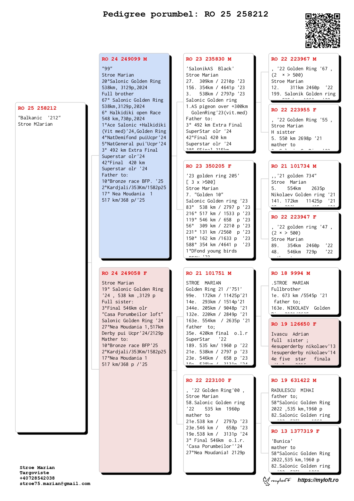 244	Final Race (506 km) 	 STROE MARIAN	 RO 258212	