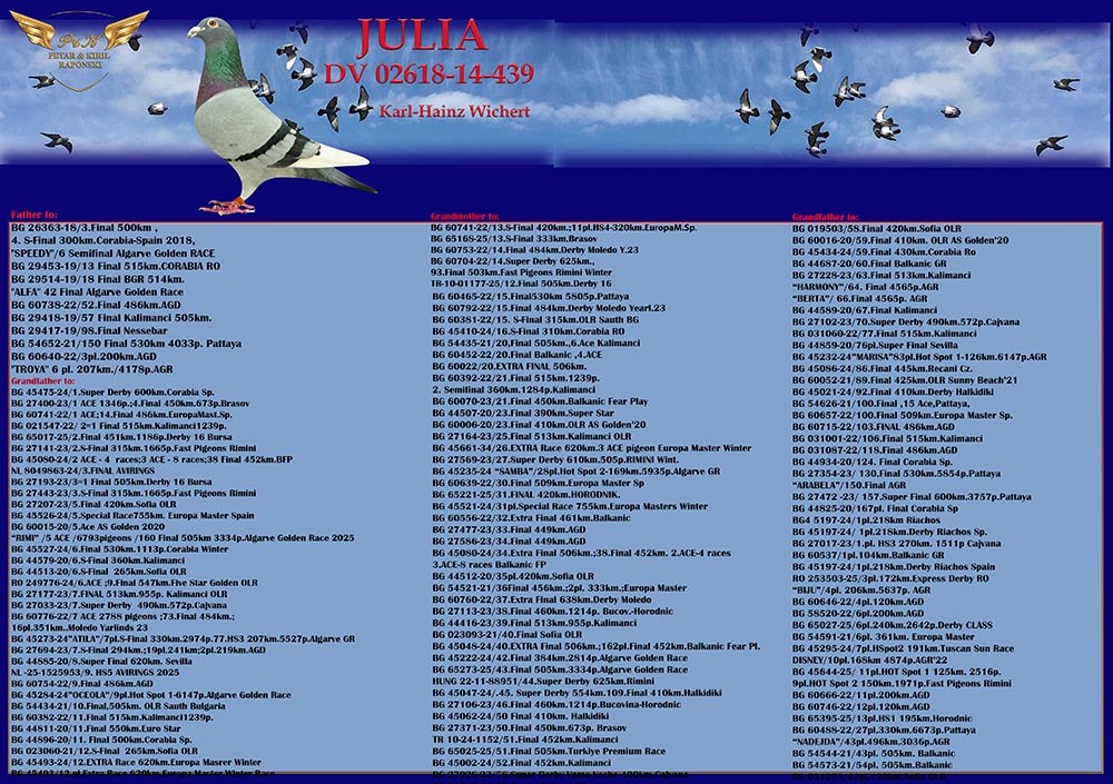 246	Final Race (506 km) 	 PETAR & KIRIL RAPONSKI	 BG 65135	