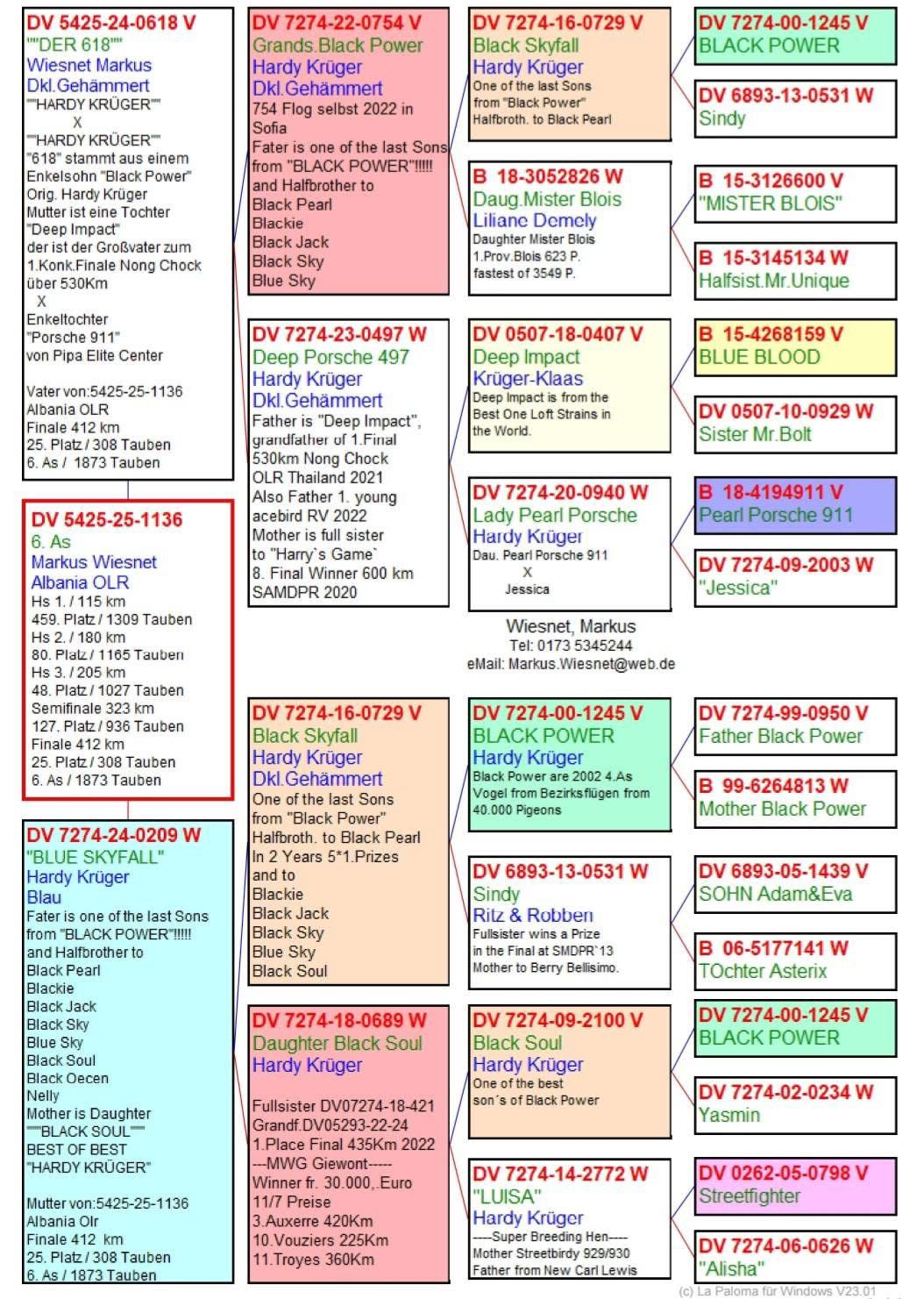 25	Final Race (412 km) + 6 Ace	 Wiesnet & Kurz Team A - TTJ	 DV-05425-1136-2025	