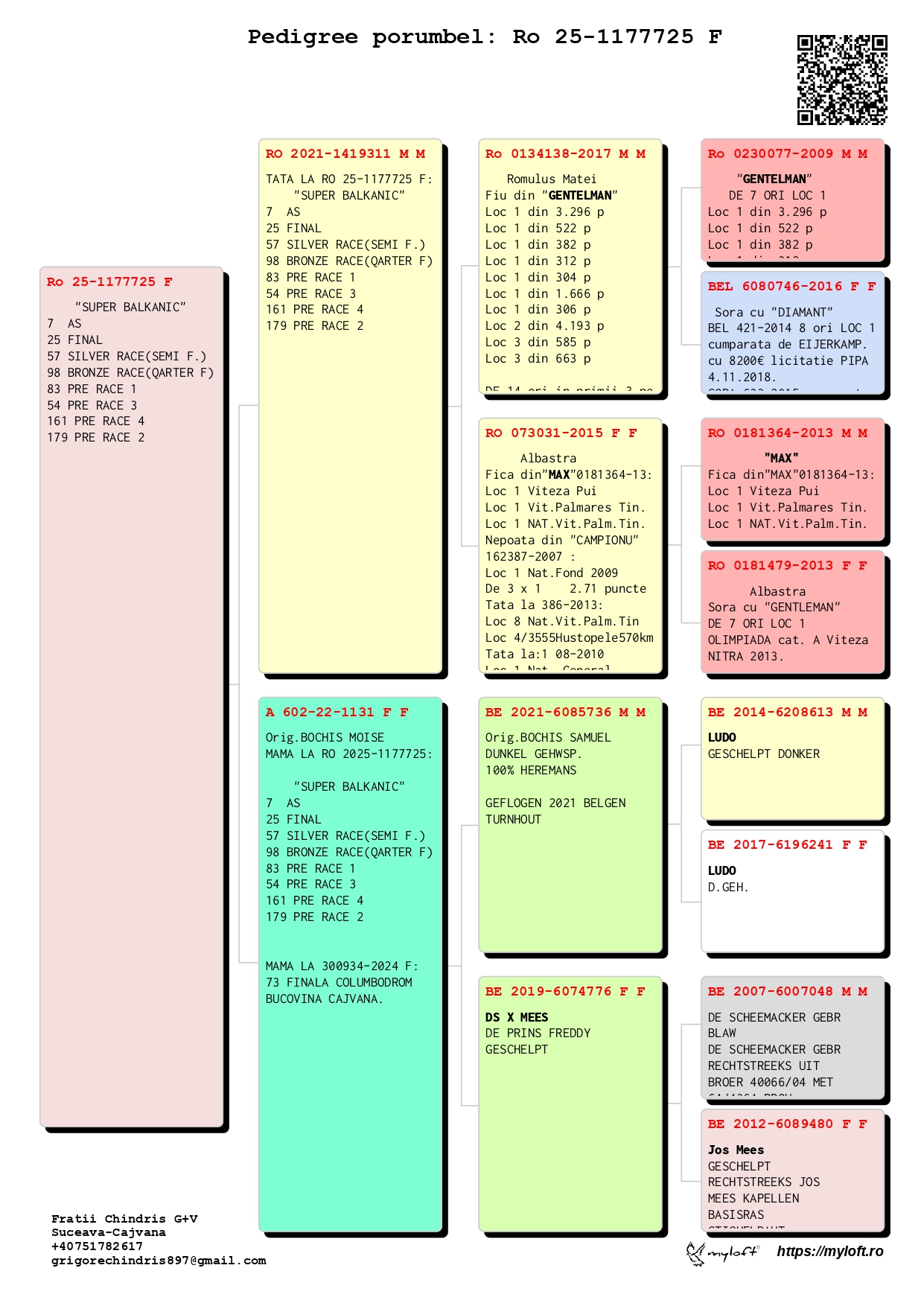 25	Final Race (506 km) 	 FRATII CHINDRIS G + V	 RO 1177725	