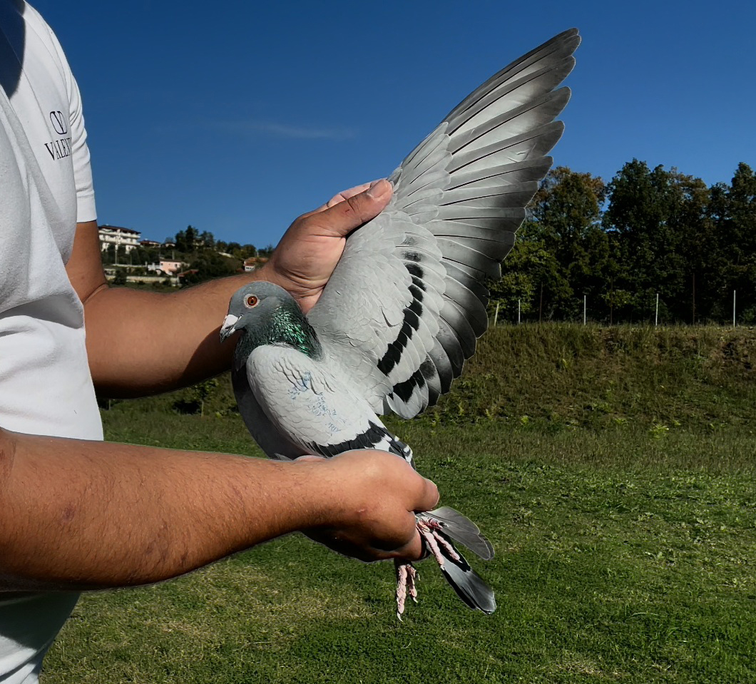 25	place Super Derby (506 km) 	 Team Buhler	 CH-14785-2025	