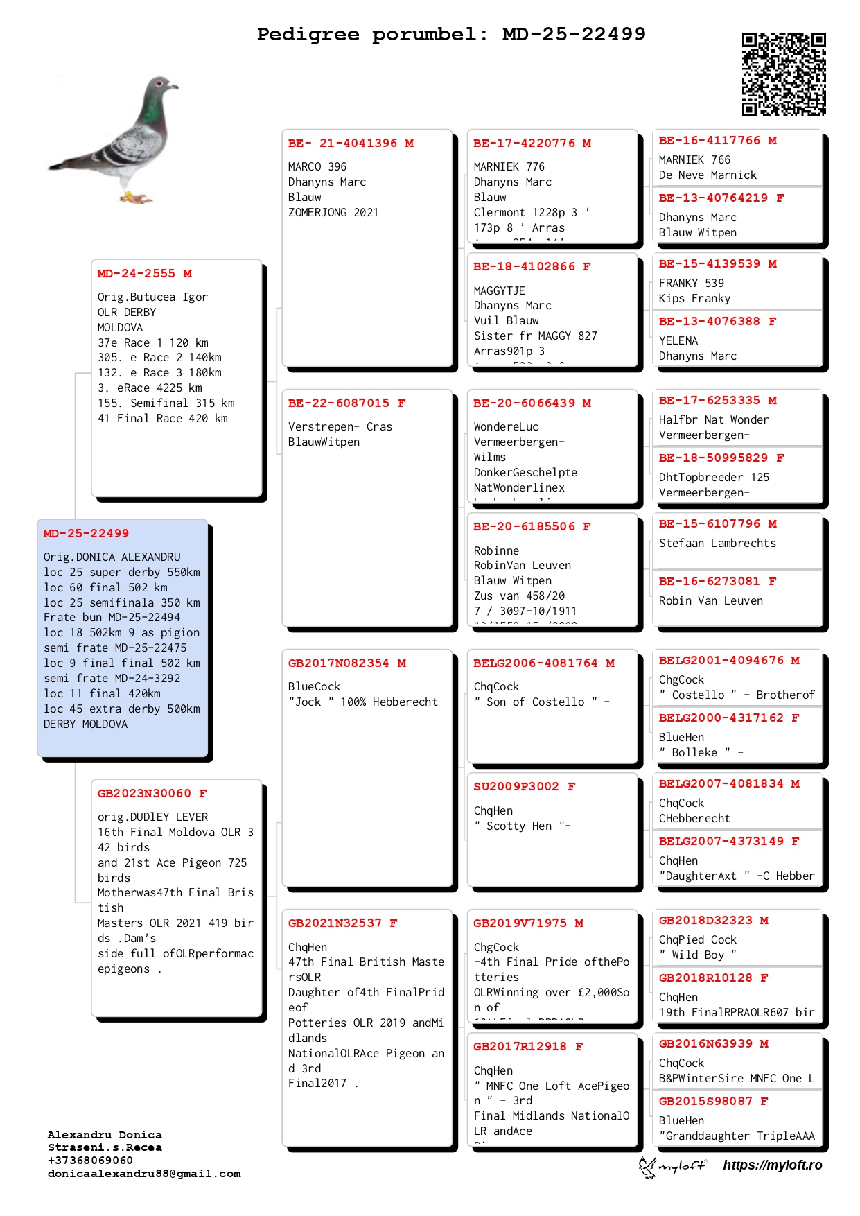 25 place Super Derby (550 km) + 1 Ace (Final + Super Derby) Donica Family MD-25-22499	